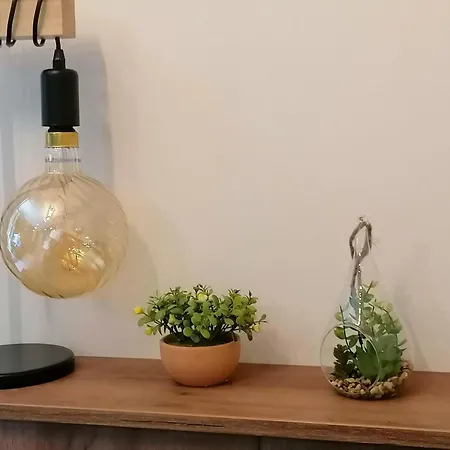 Lux Crni Vrh Apartament